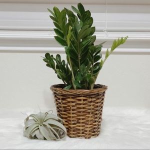 Wicker/Rattan Planter Basket
